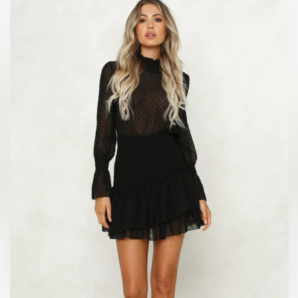 Hello Molly Sheer Black Long Sleeve Dress